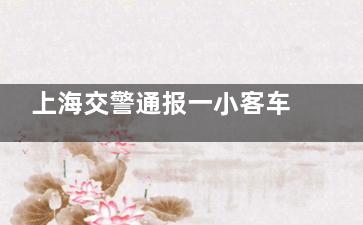 上海交警通报一小客车从高架坠下 究竟是怎么一回事